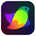 Amadine application logo