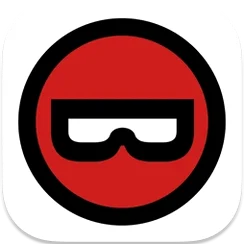 Binary Ninja application logo