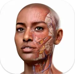 Complete Anatomy application logo