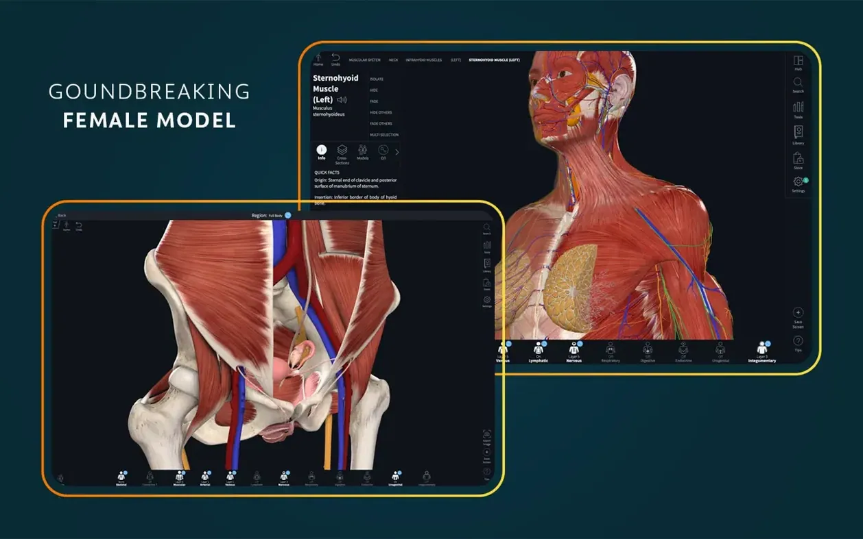 Complete Anatomy — look #1 3d atlas of anatomy — app window