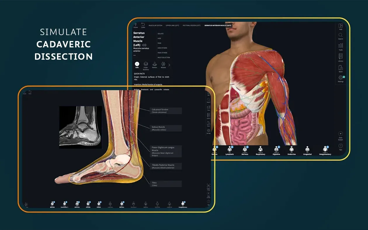Complete Anatomy — look #2 Complete Anatomy 11.5, screen 2