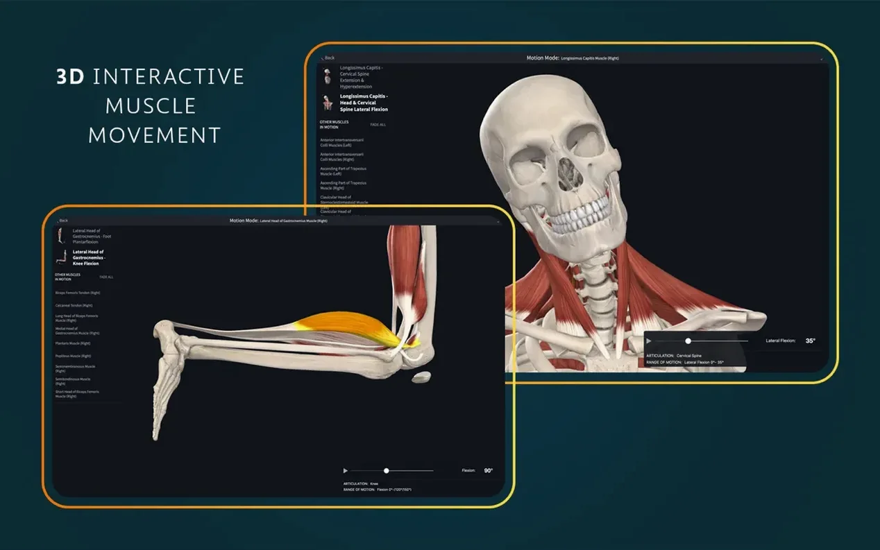 Complete Anatomy — look #3 Complete Anatomy 11.5, screen 3