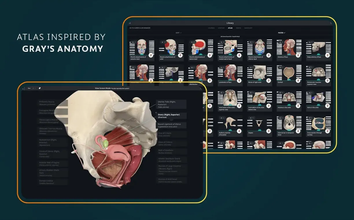 Complete Anatomy UI, 5 of 8 Complete Anatomy feature view 5