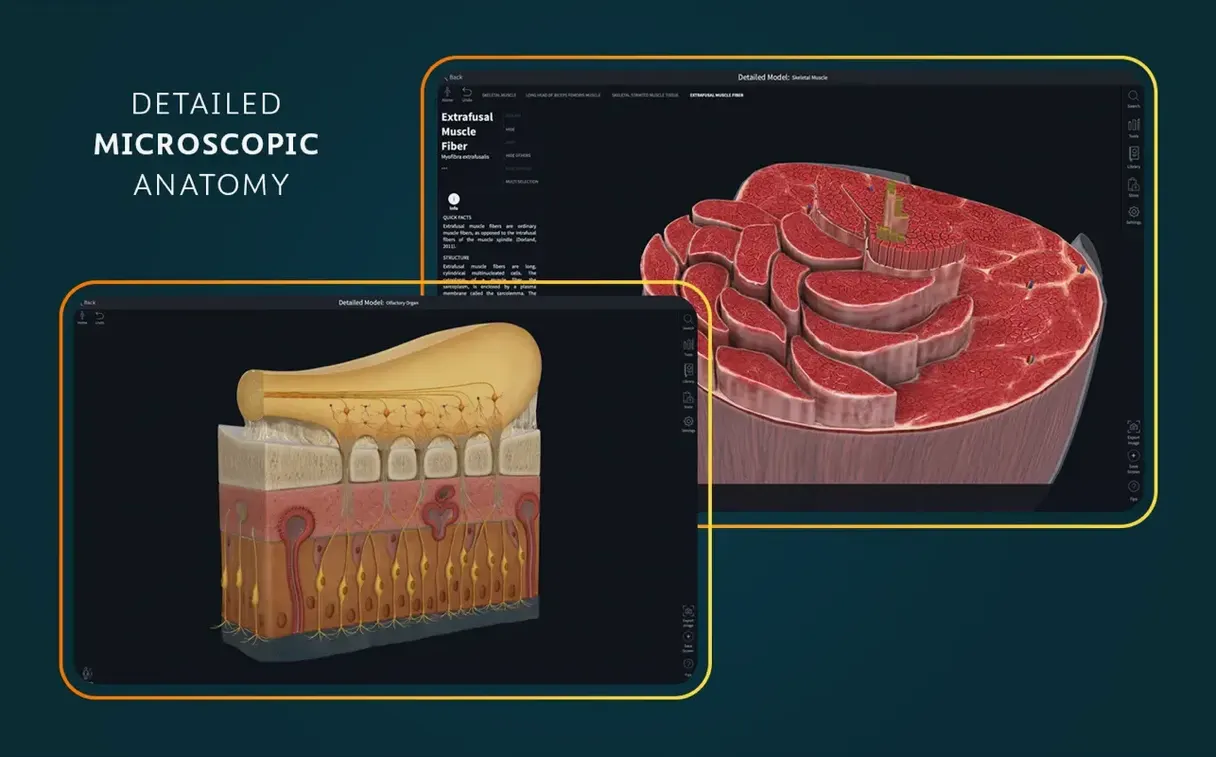 Complete Anatomy UI, 6 of 8 Complete Anatomy feature view 6