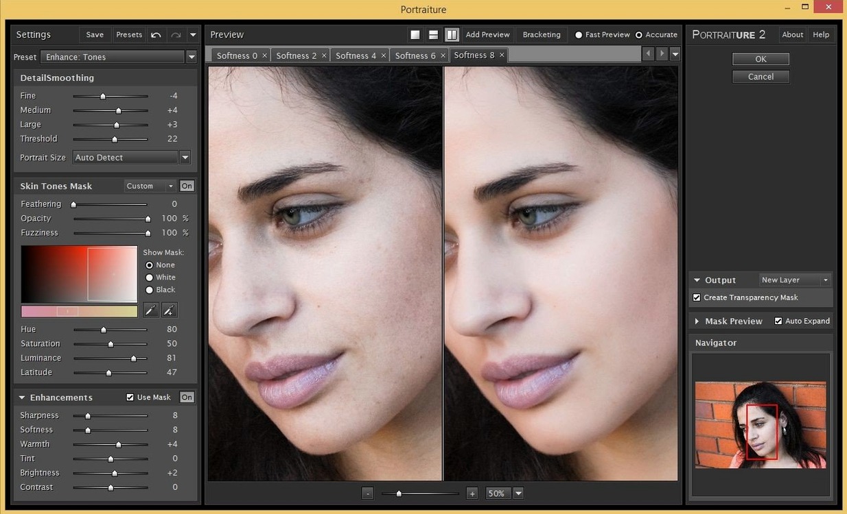 Imagenomic Portraiture UI, 1 of 1 portraiture 4 for mac: dashboard