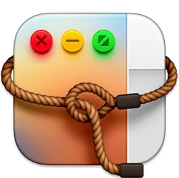 The Lasso icon