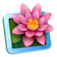 The LilyView icon
