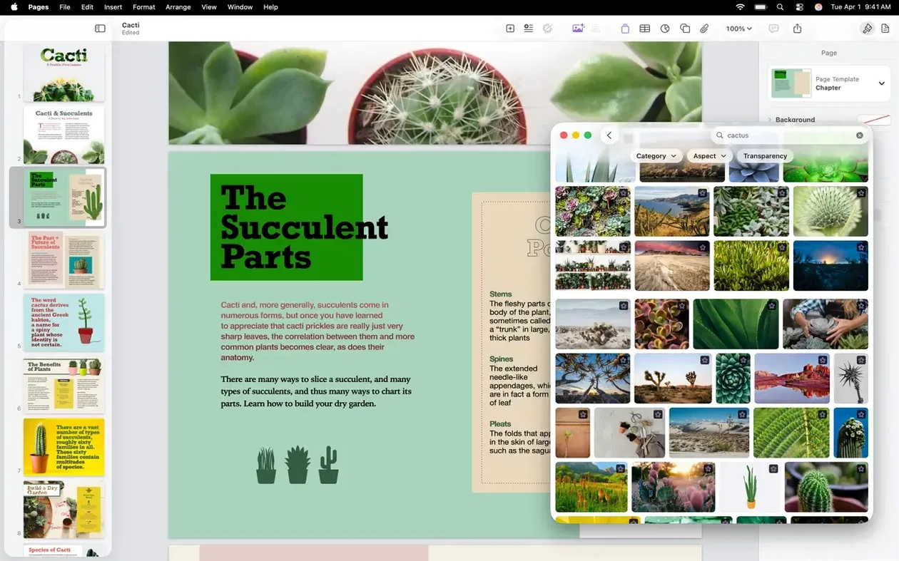 Pages Creator Studio — look #4 Pages Creator Studio 15.3.1, screen 4