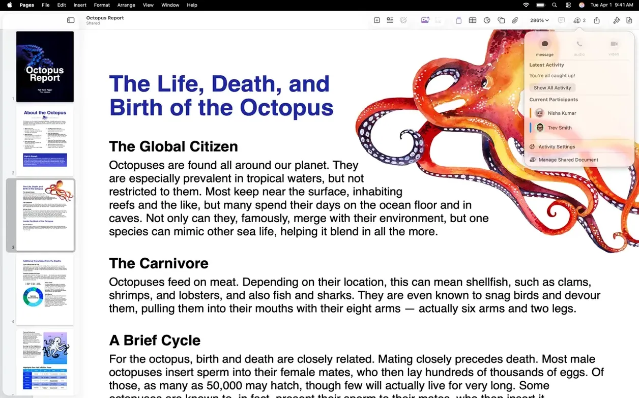 Pages Creator Studio UI, 6 of 8 Pages Creator Studio feature view 6