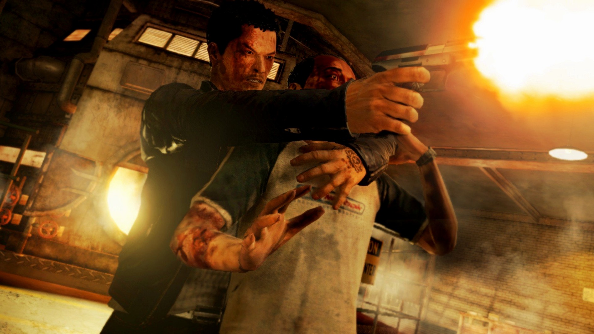 Sleeping Dogs — look #3 Sleeping Dogs 1.1, screen 3