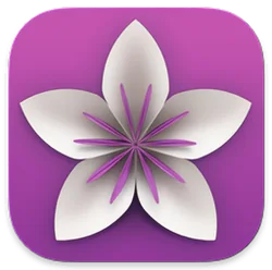 Vellum application logo