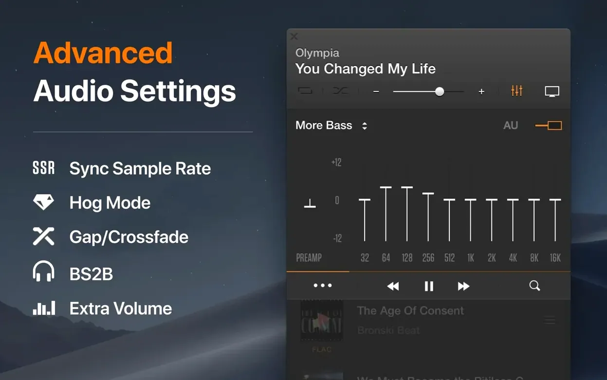 VOX: MP3 & FLAC Music Player UI, 2 of 4 VOX: MP3 & FLAC Music Player feature view 2