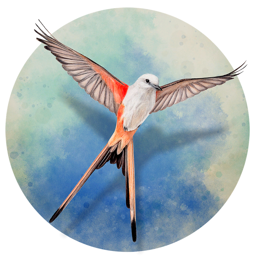 The Wingspan icon